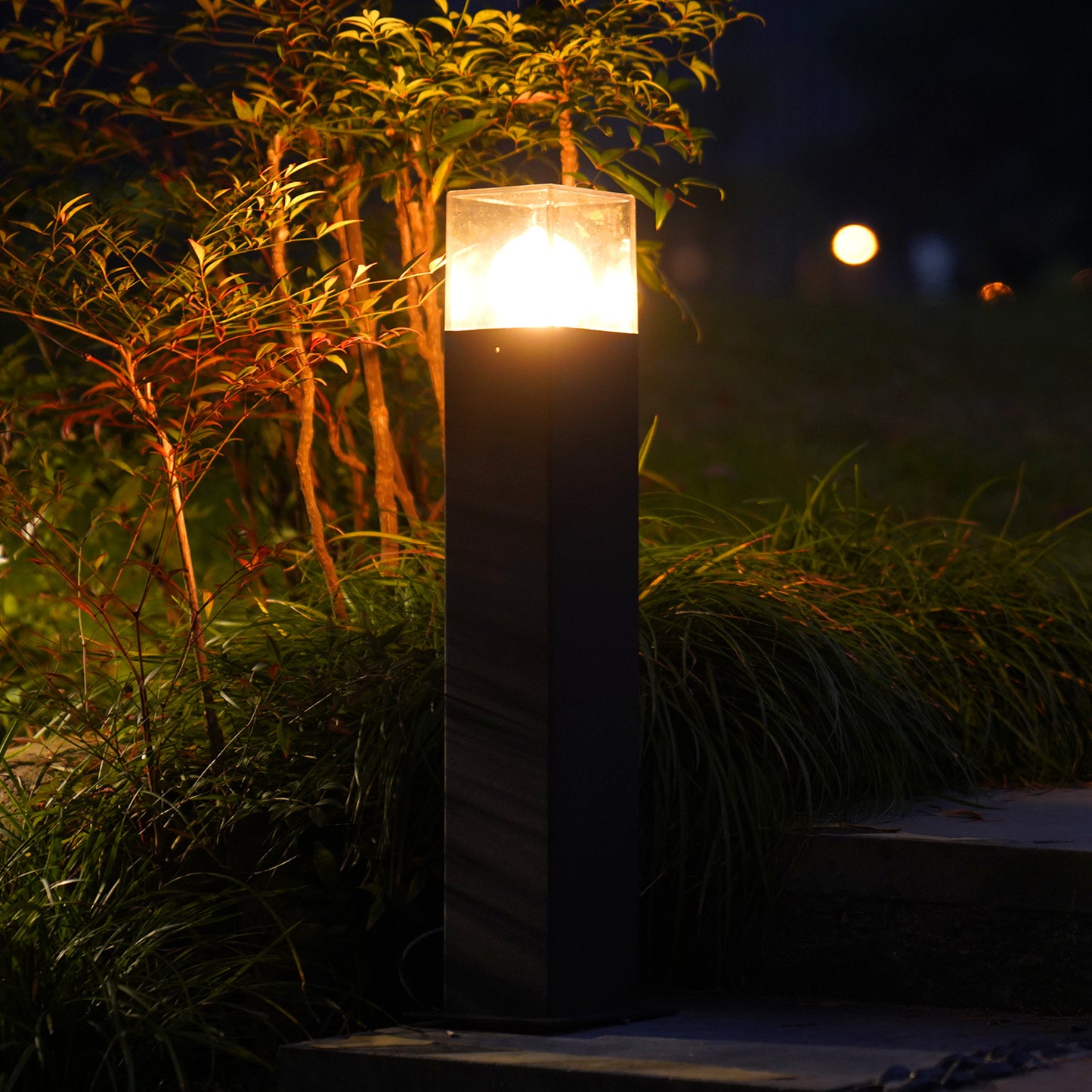 Landscape Path Lights