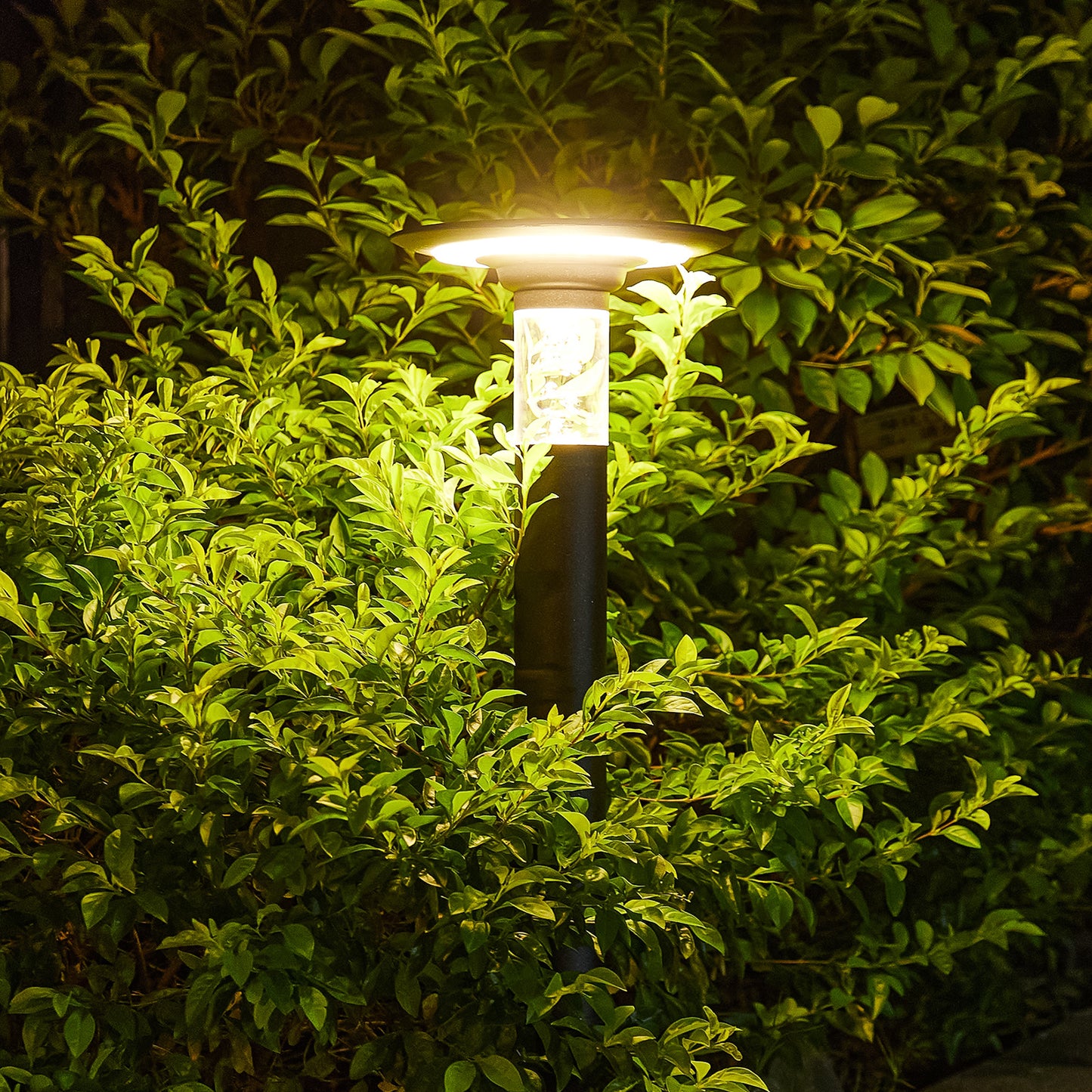 Solar Landscape Path Light 22"H